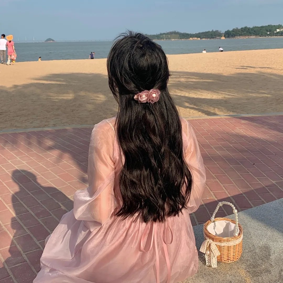 雁南飞